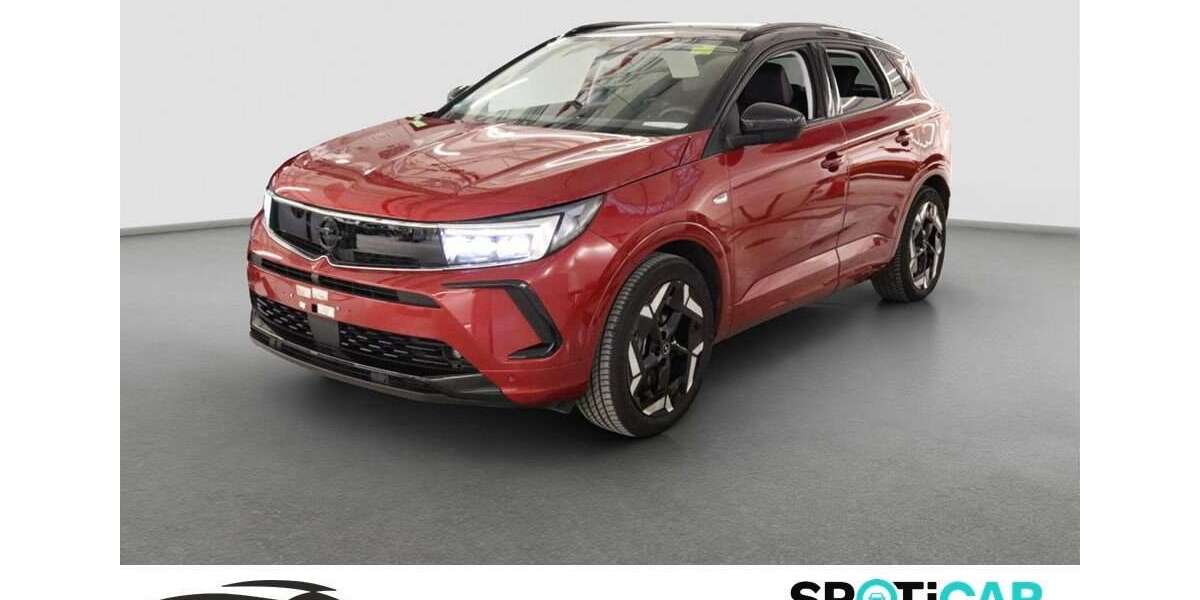 Opel Grandland X 16.771 km 27.480 &euro; Kelheim 93309