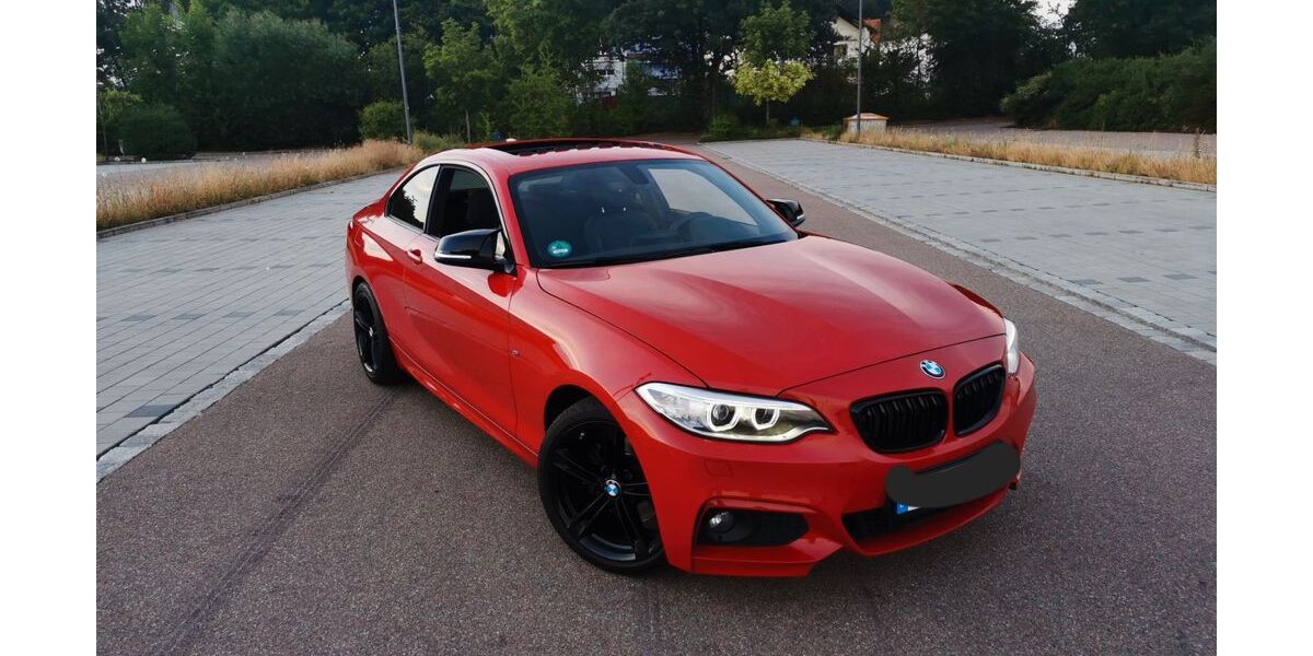 BMW 220 105.000 km 18.400 &euro; Regenstauf 93128