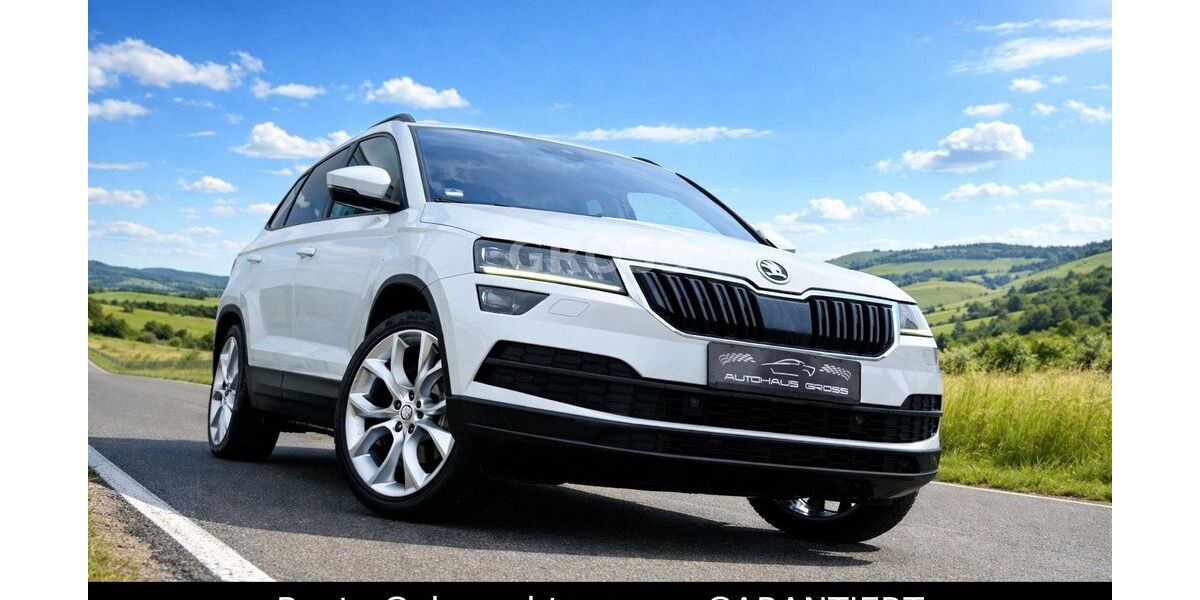 Skoda Karoq 103.600 km 24.990 &euro; Wörth a.d. Donau, bei Regensburg 93086
