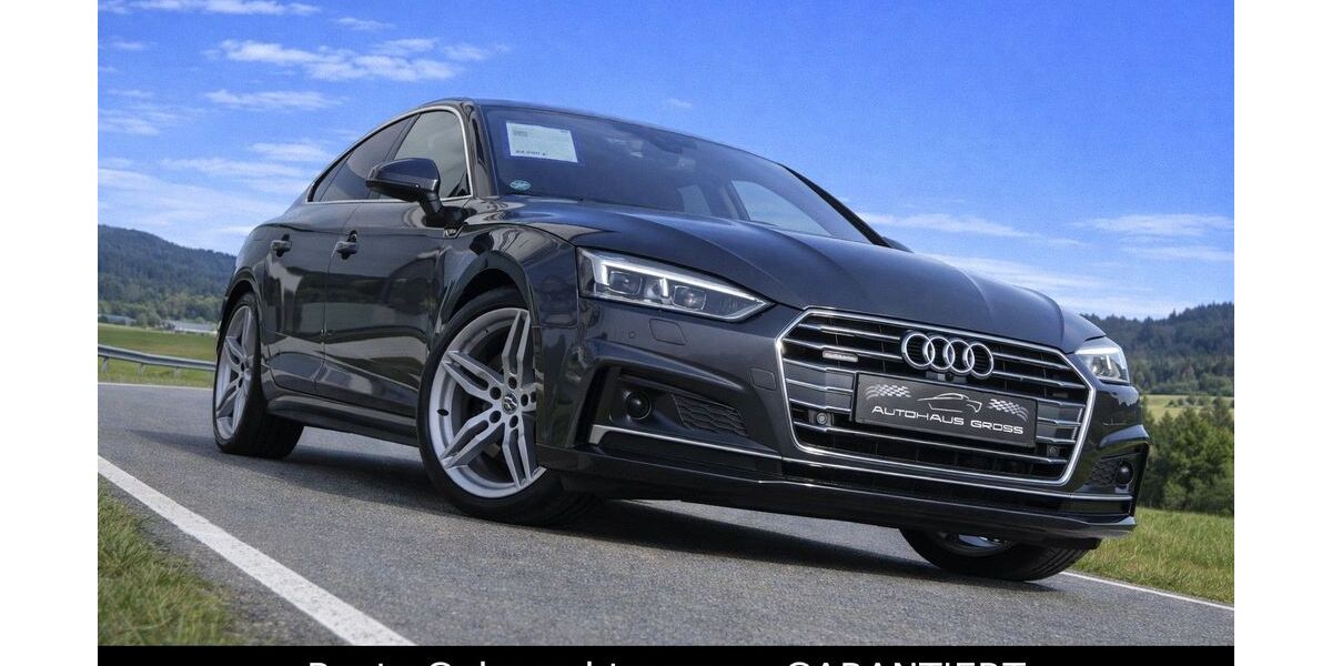 Audi A5 170.900 km 23.450 &euro; Wörth a.d. Donau, bei Regensburg 93086