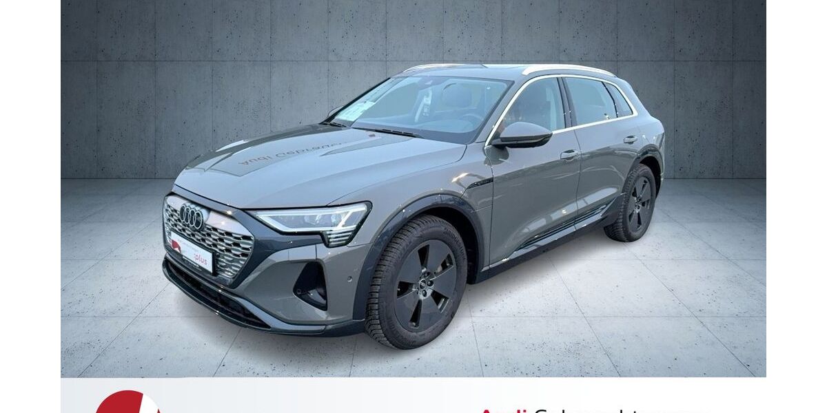 Audi Q8 e-tron 30.386 km 59.540 &euro; Neutraubling 93073