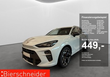 Cupra Terramar 1.200 km 47.250 &euro; Regensburg 93055