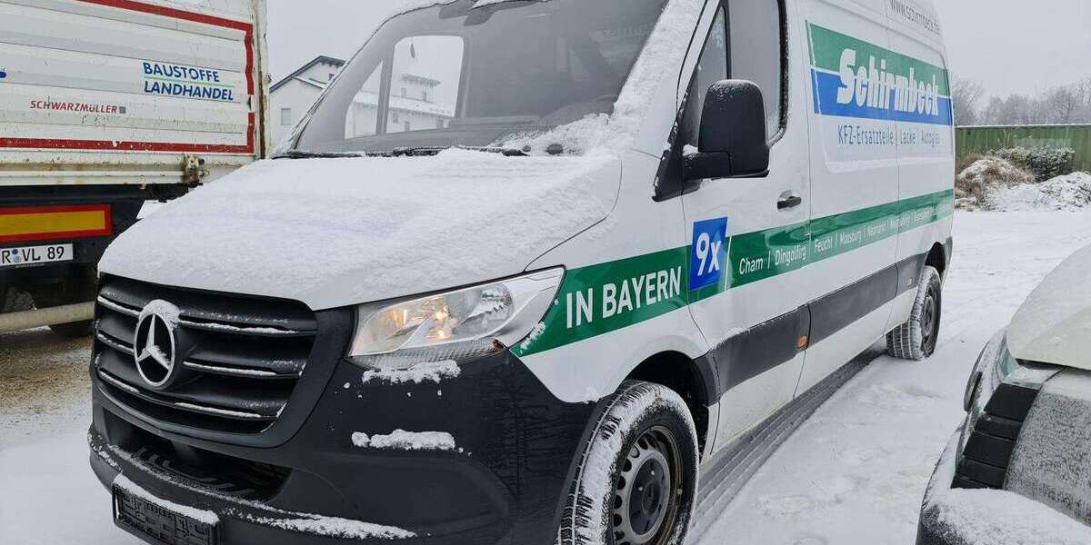 Mercedes-Benz Sprinter 236.660 km 15.490 &euro; Pettendorf 93186